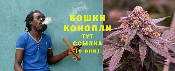 стаф Нефтекумск