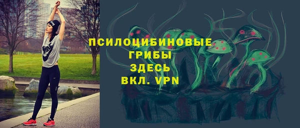 стаф Нефтекумск