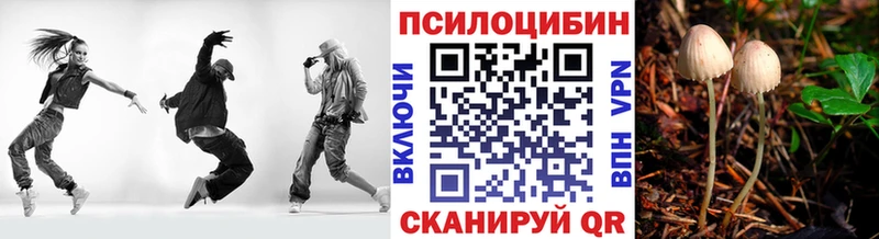 Псилоцибиновые грибы прущие грибы  купить наркоту  Красавино 